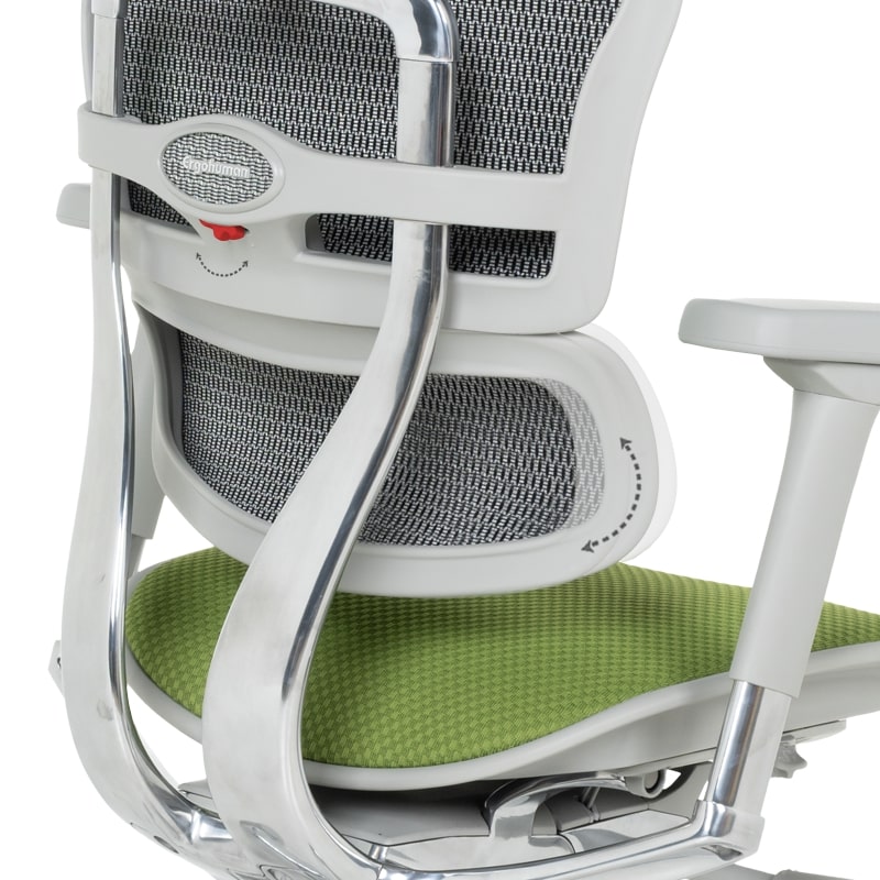 Ергономичен офис стол Ergohuman Elite 2 дамаска зелен-сива рамка